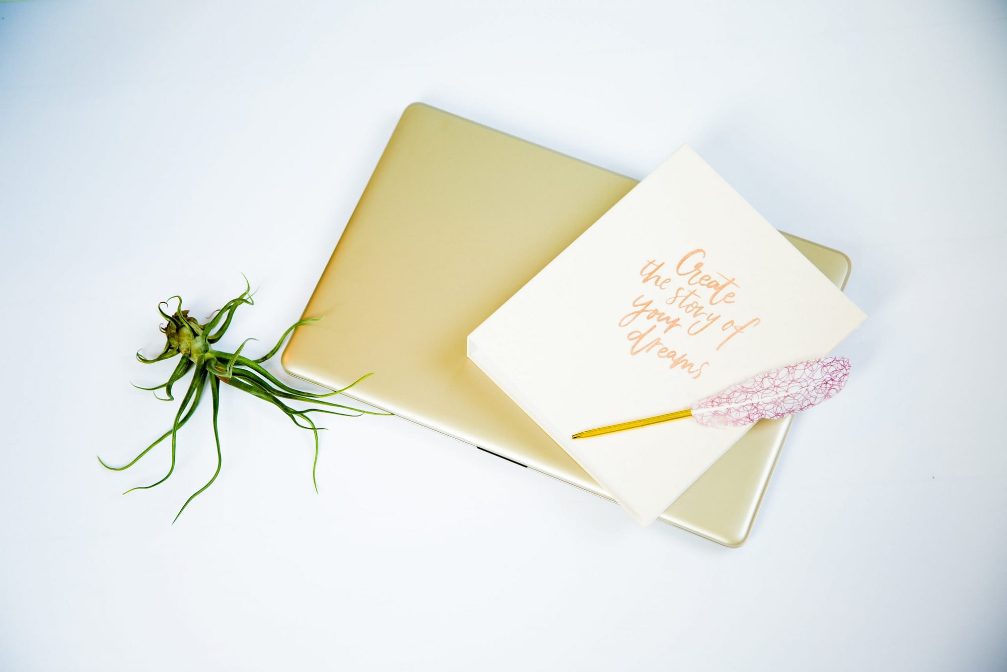View More: http://photos.pass.us/brandingfotosessie-maartje