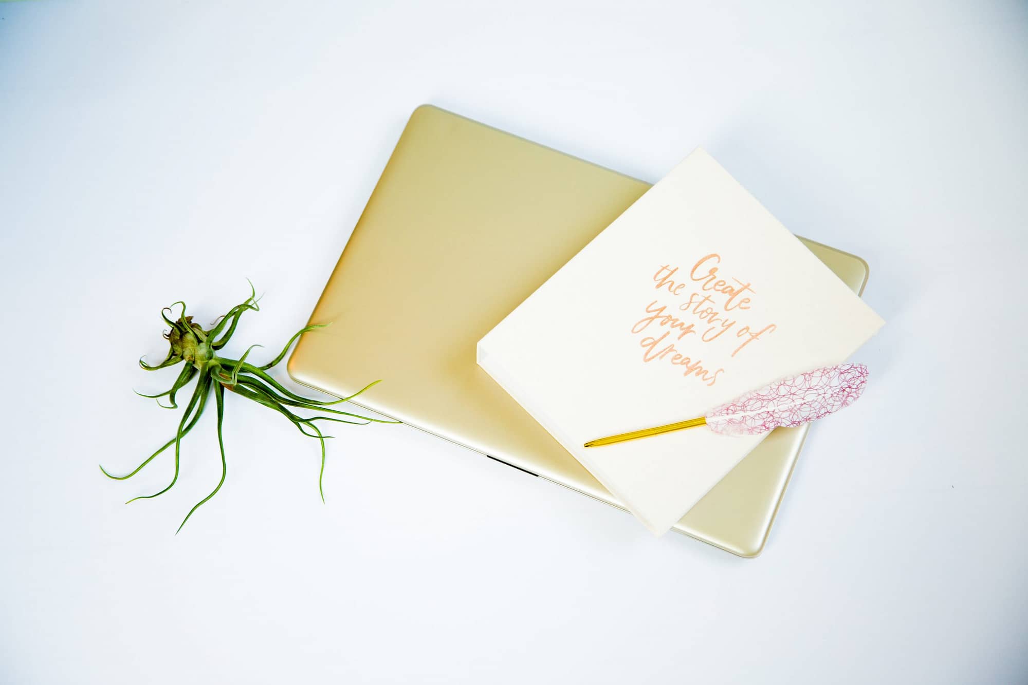 View More: http://photos.pass.us/brandingfotosessie-maartje